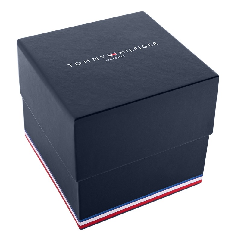 Zegarek Męski Tommy Hilfiger Dexter 1792087 + BOX