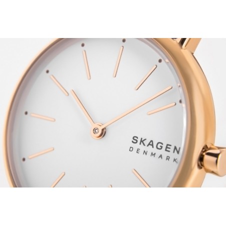 Zegarek Damski SKAGEN Signatur SKW2838 + BOX