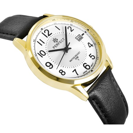 Zegarek Męski PERFECT C710T-09
